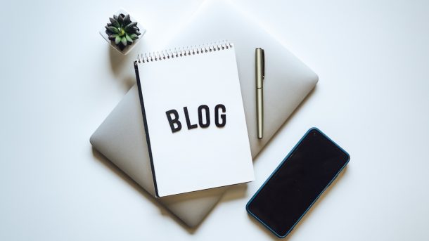 haki holownicze blog